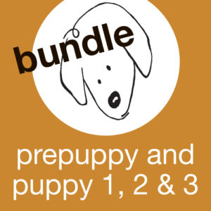 Prepuppy and Puppy 1, 2 & 3