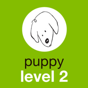 Puppy Level 2