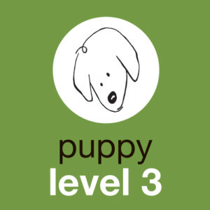 Puppy Level 3